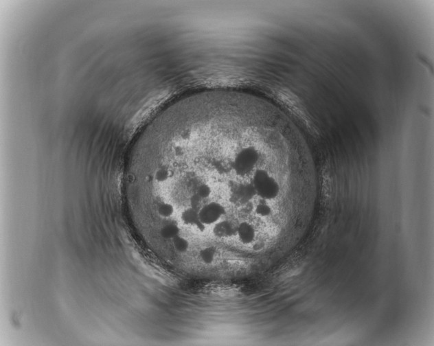 X0000101230491200807071415