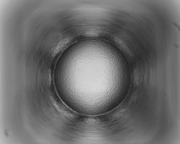 X0000101230494200807071415