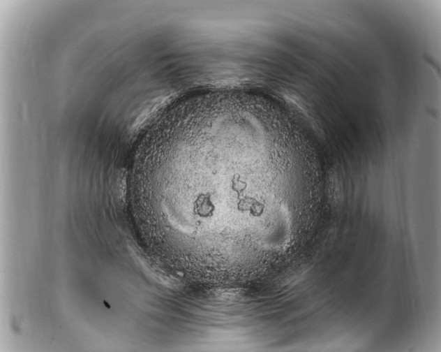 X0000101230495200807071415