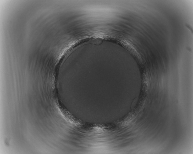 X0000101230496200807071415