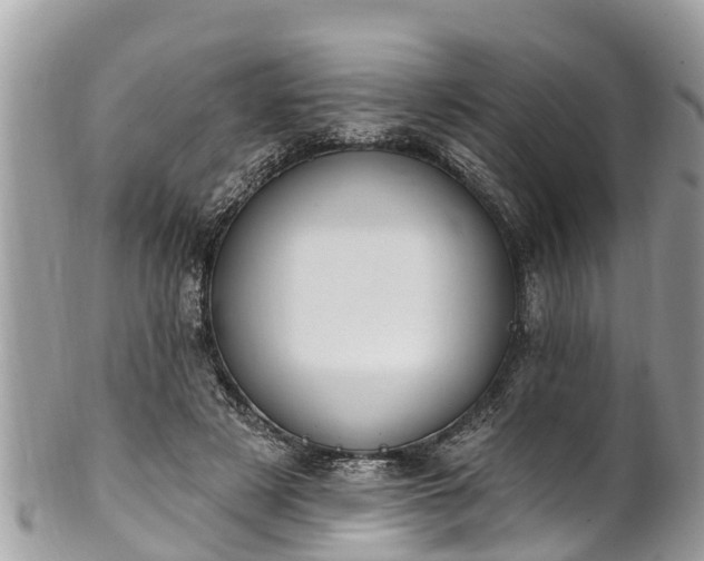 X0000101230497200807071415