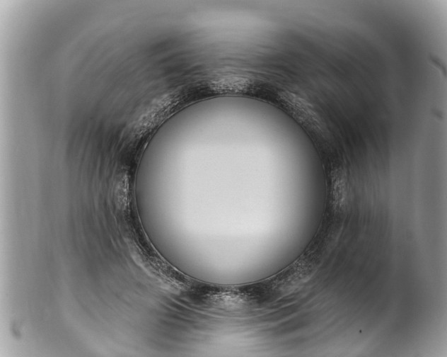 X0000101230498200807071415