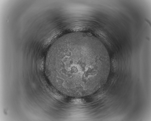 X0000101230499200807071415