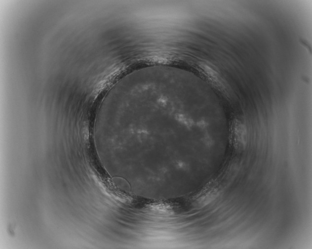 X0000101230500200807071415