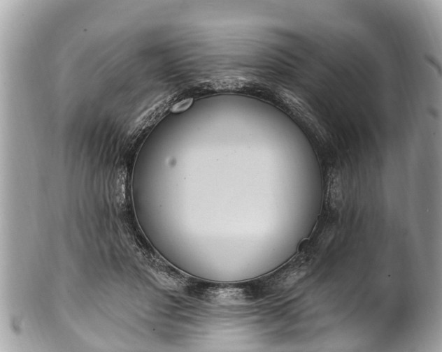 X0000101230501200807071415