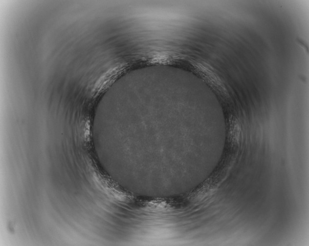 X0000101230502200807071415