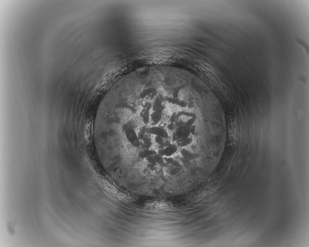 X0000101230503200807071415