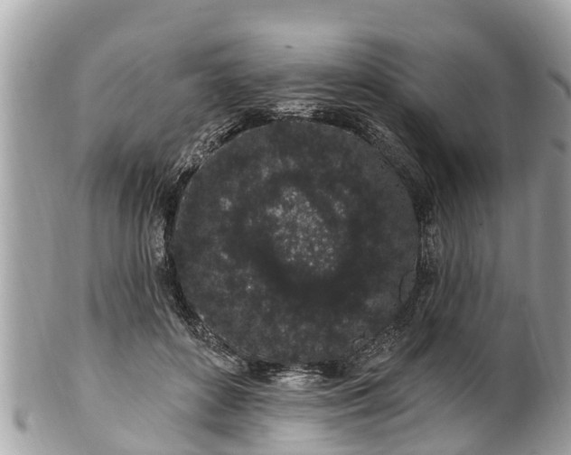 X0000101230504200807071415