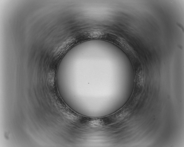 X0000101230505200807071415