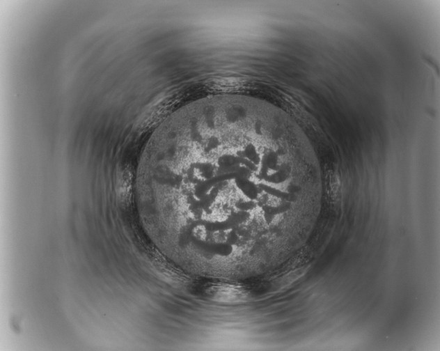 X0000101230507200807071415