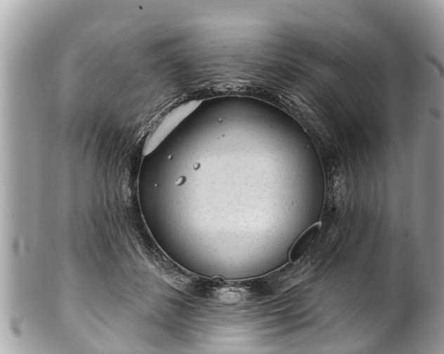 X0000101230508200807071415