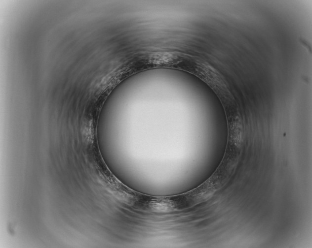 X0000101230510200807071415