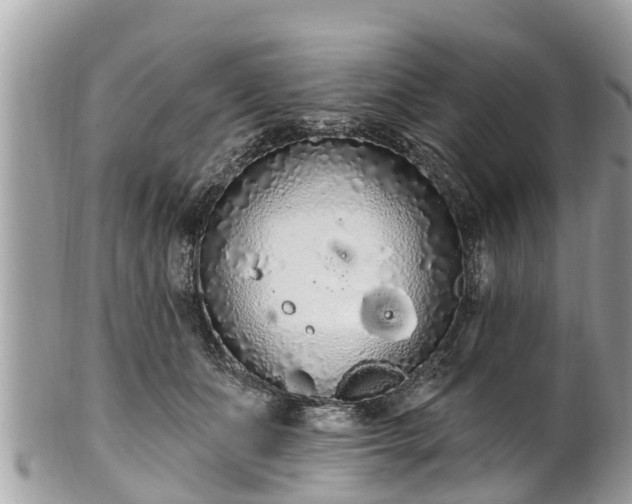 X0000101230511200807071415