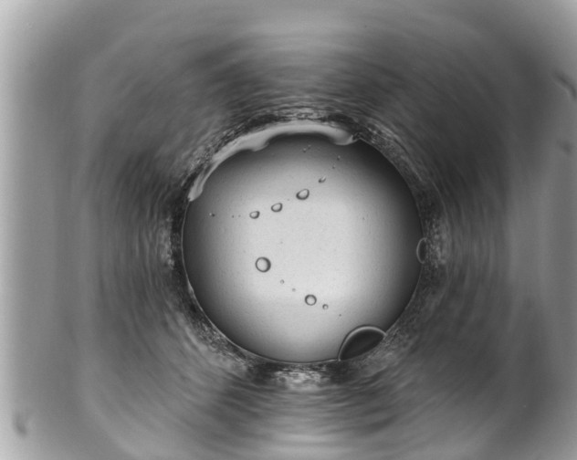 X0000101230512200807071415