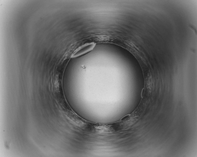 X0000101230516200807071415