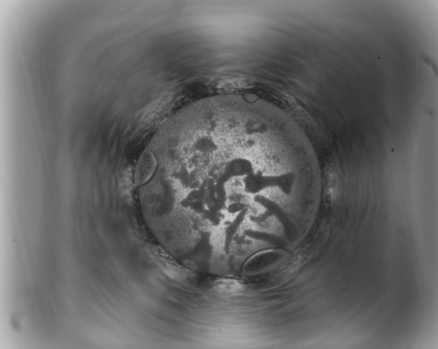 X0000101230519200807071415