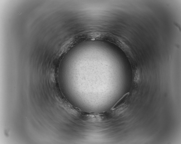 X0000101230524200807071415