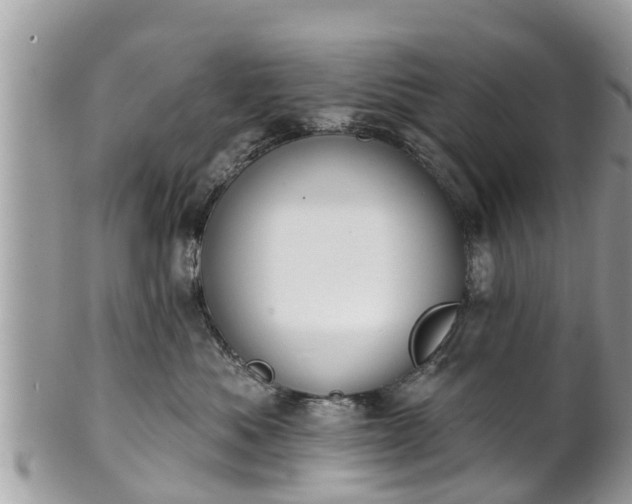 X0000101230525200807071415