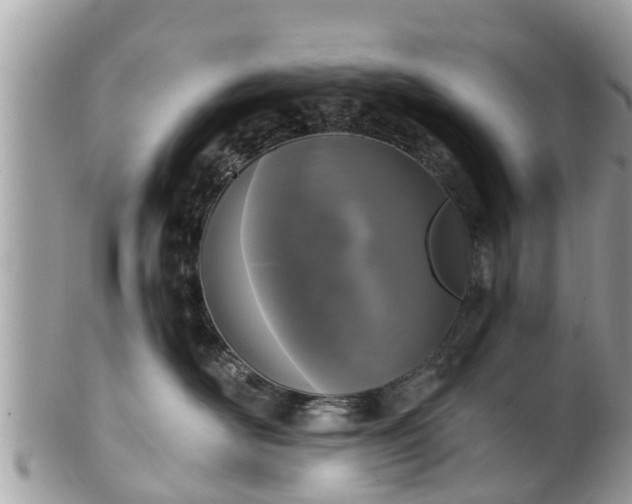 X0000101230526200807071415