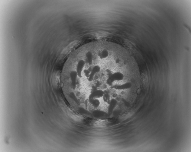 X0000101230527200807071415