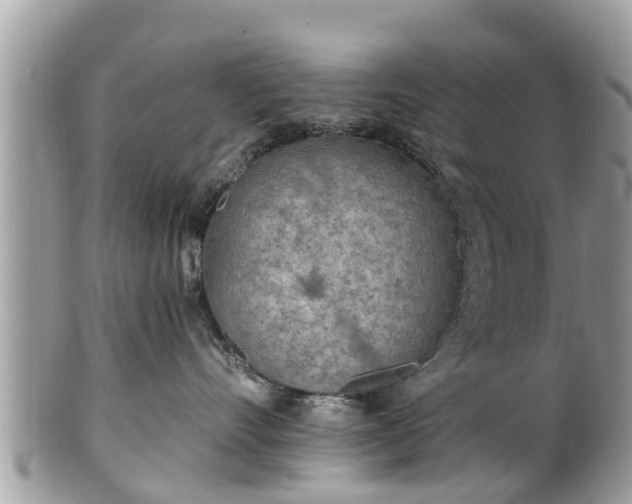 X0000101230528200807071415