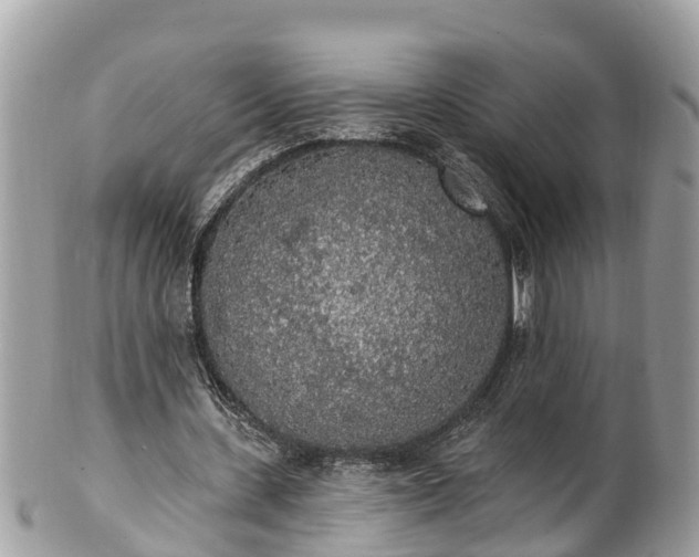 X0000101230531200807071414