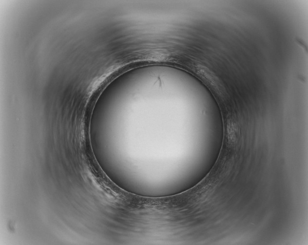 X0000101230532200807071414