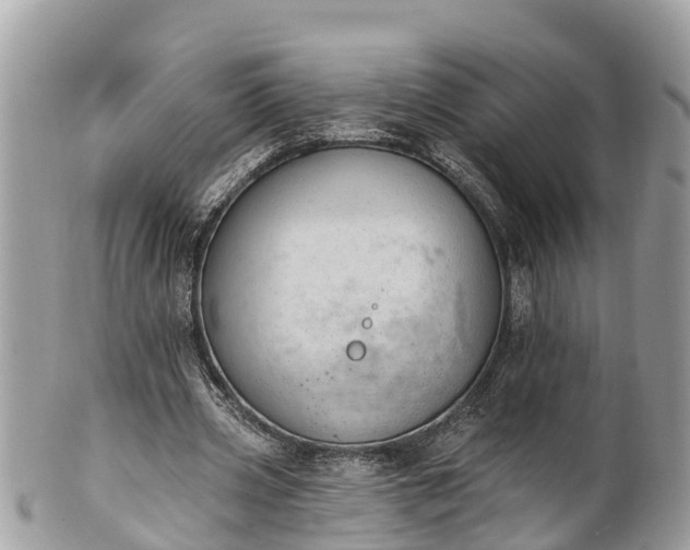 X0000101230533200807071414