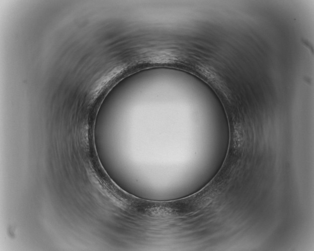 X0000101230535200807071414