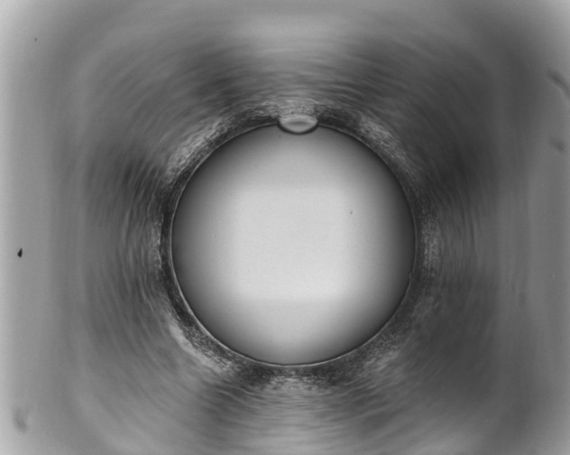 X0000101230538200807071414