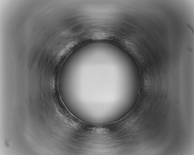 X0000101230539200807071414