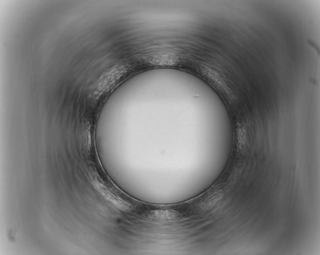 X0000101230541200807071414