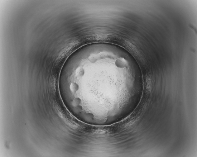 X0000101230542200807071414