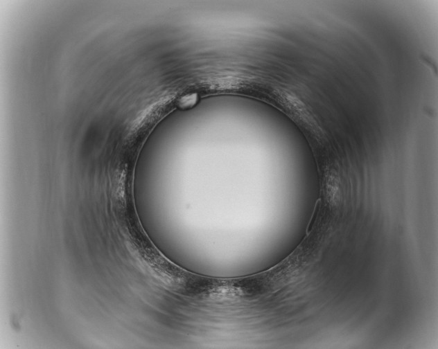 X0000101230543200807071414