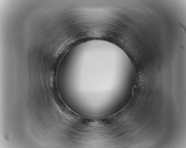 X0000101230544200807071414