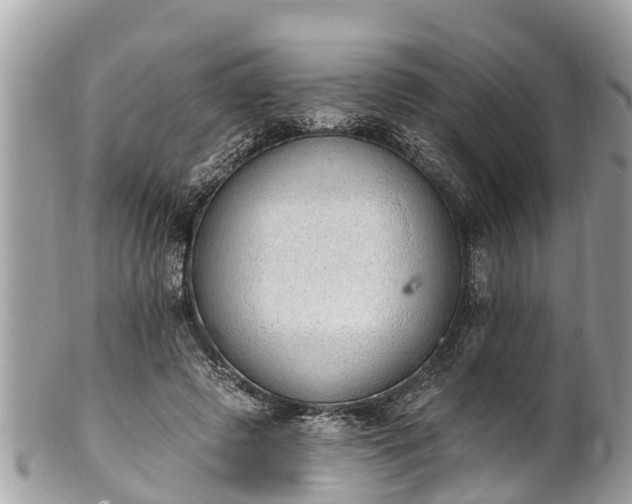 X0000101230545200807071414