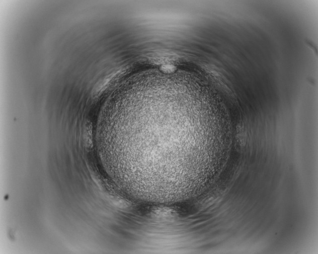 X0000101230547200807071414