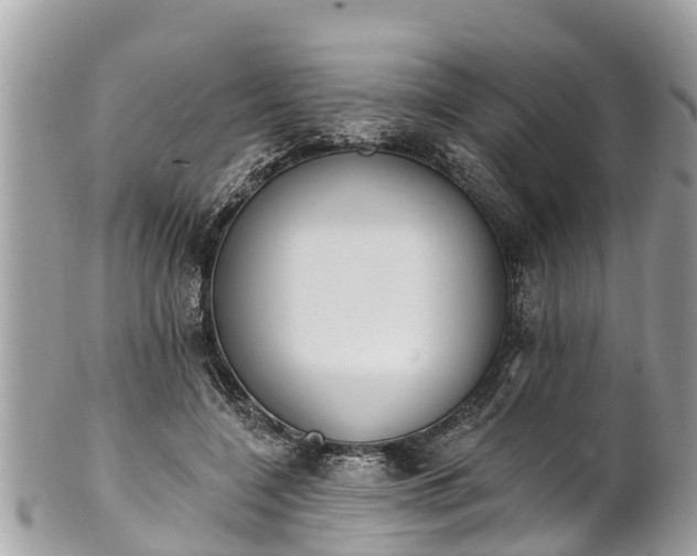 X0000101230548200807071414