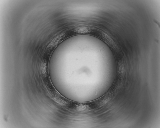 X0000101230549200807071414