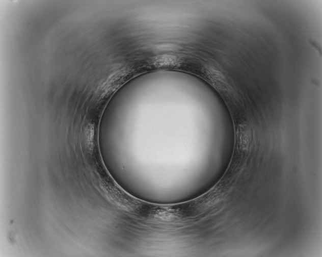 X0000101230550200807071414