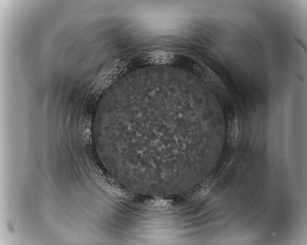 X0000101230553200807071414