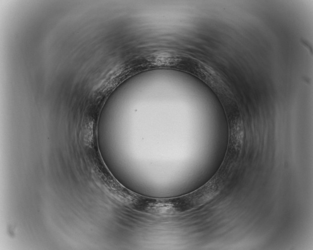 X0000101230554200807071414