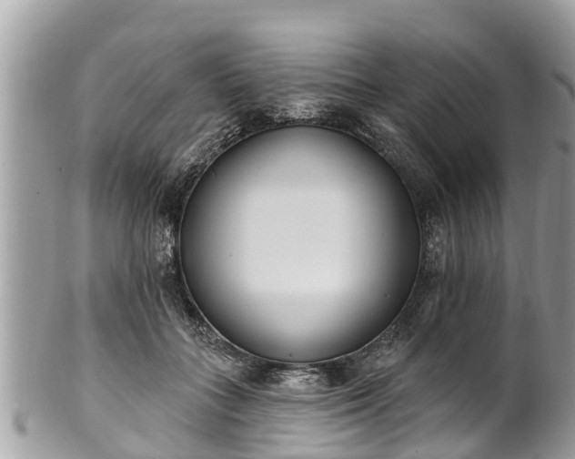 X0000101230555200807071414