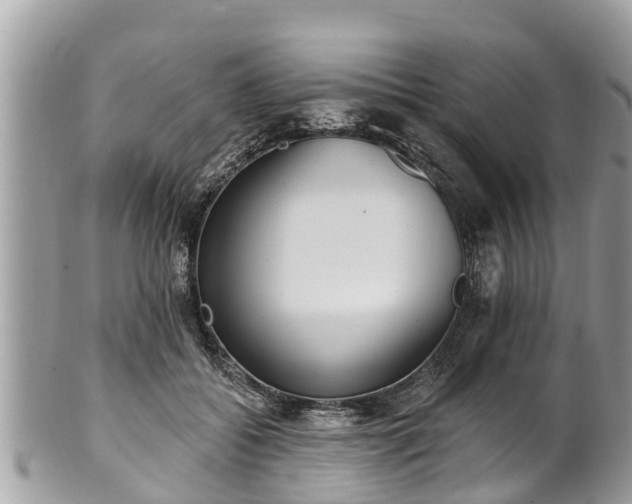 X0000101230556200807071414