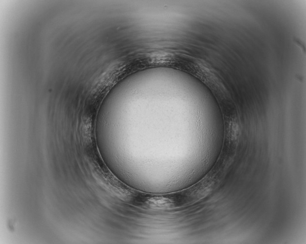 X0000101230557200807071414