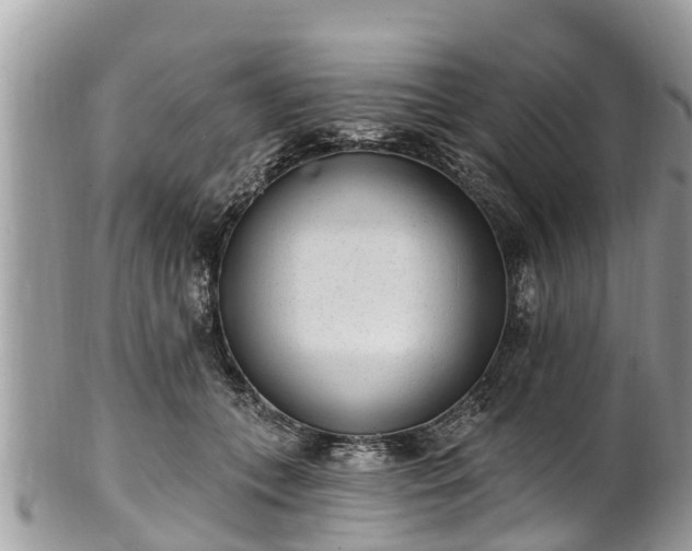 X0000101230559200807071414