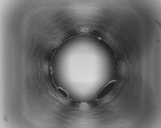 X0000101230562200807071414