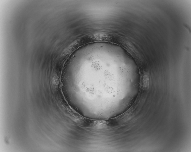 X0000101230569200807071415