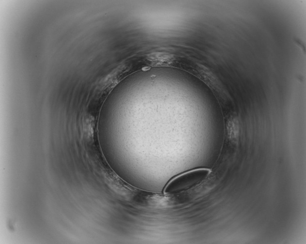 X0000101230570200807071415