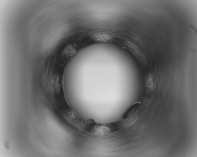 X0000101230572200807071415